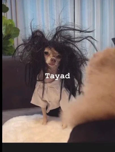 Making Style Guides Almost Broke Me (But Lowkey Made Me Better)