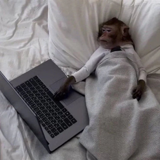 Is the Bottleneck the Breakthrough?